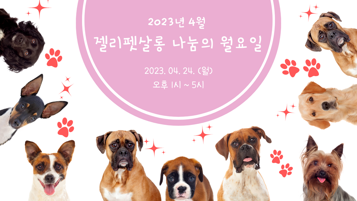 [봉사] 젤리펫살롱 2023년 4월 나눔의 월요일 일정