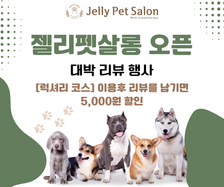 [오픈 기념] 리뷰 작성시 5,000원 할인