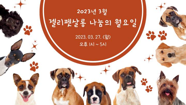 [봉사] 젤리펫살롱 2023년 3월 나눔의 월요일 일정