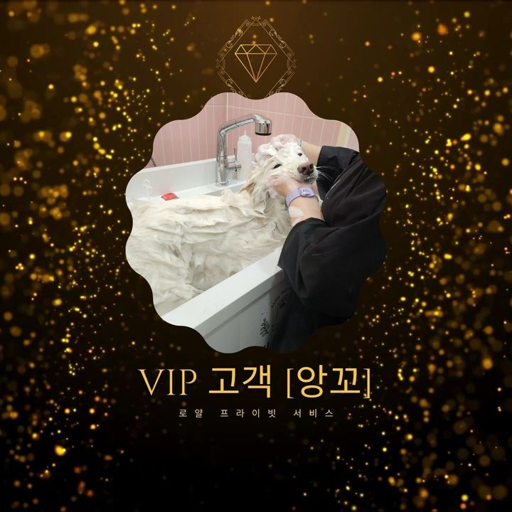 [VIP앙꼬] 적응 시간이 조금 필요했어요